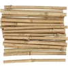 Image de Bâton de bambou - CREATIV - 9992 - 30 pièces - 20 cm - Décoration intérieure