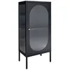 Image de Buffet 1 porte 50x35x110 cm en verre et métal noir