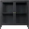 Image de Armoire 2 Portes Vitrées Acier Noir 80 X 35 X 80 Cm