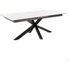 Image de Heaven table de salle à manger 100x200/240cm avec 1 plateau supplémentaires blanc.