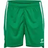 Image de Short femme Hummel Lead 2.0 Vert 223745-6235