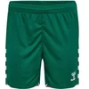 Image de Short femme Hummel Core 2.0 Vert 230831-6131