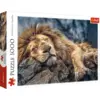 Image de Trefl Puzzle - 1000 Pièces - Lion Endormi - Puzzle Adulte