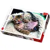 Image de Trefl Puzzle 1000 Pièces - Chaton Joyeux - Puzzle Chat