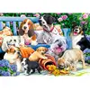 Image de Trefl Puzzle Chiens Animaux 1000 Pièces Carton Adultes