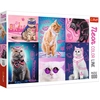 Image de Trefl 10581 Puzzle Jeu De Puzzle 1000 Pièce(s) Autre