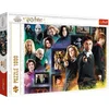 Image de Oku Trefl Puzzle Harry Potter Wizarding World   1000 Pièces (40.3 X 27.5 Cm)