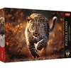 Image de Trefl 10818 Puzzle Jeu De Puzzle 1000 Pièce(s) Animaux