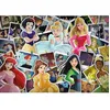 Image de Puzzle 1000 pièces : Disneys princesses