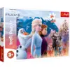 Image de Trefl Puzzle Disney La Reine Des Neiges 2 Voyage Magique 24 Pièces Carton