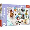 Image de Trefl Puzzle 300 Pièces - Holiday Pictures Puzzle En Carton