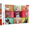 Image de Trefl 26212 Puzzle Jeu De Puzzle 1500 Pièce(s) Animaux