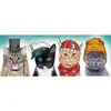 Image de Trefl Puzzle Panoramique 500 Pièces Animaux Fluffy Team