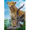 Image de Trefl Puzzle - Léopard Sauvage - 500 Pièces - Puzzle Animaux