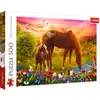 Image de Puzzle 500 Piéces Cheval Et Poulain
