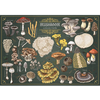 Image de Trefl Puzzle Finders Keepers Champignons 500 Pièces Adultes Enfants