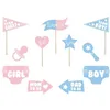 Image de Photobooth Gender Reveal Party Boy or Girl 11 pièces