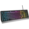 Image de Genesis Rhod 300 Rgb Clavier Gaming Usb Qwerty Anglais Noir