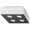 Image de Plafonnier Acier Blanc/noir Gu10 4 Mono
