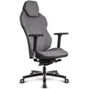 Image de Quersus ICOS 1.1 - Iron Grey