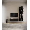 Image de Meuble TV 2 portes -suspendu - BEMMI- 100 cm - noir
