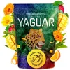 Image de Yerba Maté Yaguar Mango Tango Maté du Brésil Thé Fruite 500g