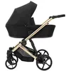 Image de Poussette Arizo Premium 01 noir- Cadre Gold