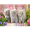 Image de Puzzle 300 pièces : trois petits chatons gris