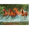 Image de Castorland Puzzle Cascade Run - 300 Pièces Puzzle Animaux