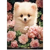 Image de Castorland Puzzle Pomeranian Puppy In Roses - 300 Pièces