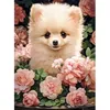 Image de Puzzle 300 pièces : Chiot de Poméranie premium dans les roses