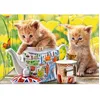 Image de Castorland Puzzle 500 pièces Tea Time   47 x 33 cm dès 9 ans