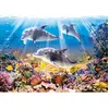 Image de Puzzle 500 pièces - CASTORLAND - Le Monde des Dauphins - Animaux - Adulte - Intérieur