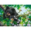 Image de Castorland Puzzle Animaux The Bear And The Hummingbirds - 500 Pièces