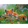 Image de Castorland Puzzle Foxy Dreams - Puzzle 500 Pièces