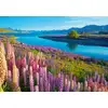 Image de Castorland Puzzle Lake Tekapo Puzzle 500 Pièces Nouvelle-zélande