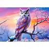 Image de Castorland Puzzle Chouette Puzzle - 500 Pièces Jouet Coloré