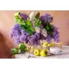 Image de Castorland Puzzle Nature Morte Lilas - Puzzle 500 Pièces
