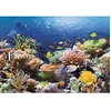 Image de Puzzle 1000 pièces - Récif de corail