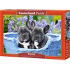 Image de Castorland French Bulldog Puppies 1000 Pcs Jeu De Puzzle 1000 Pièce(s) Animaux