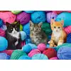 Image de Castorland Puzzle Chats Kittens In A Yarn Store - 1000 Pièces