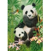 Image de Castorland Puzzle Panda-brunch - Puzzle 1000 Pièces Panda