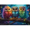 Image de Castorland Puzzle Hibou - 1000 Pièces Jouet En Carton Coloré