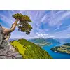 Image de Castorland Puzzle Lac D'uri Suisse - Puzzle 1000 Pièces