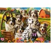 Image de Puzzle 1000 pièces : Chiens heureux à la campagne