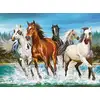 Image de Castorland Puzzle Call Of Nature - 2000 Pièces Animaux