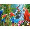 Image de Castorland Puzzle Parrot Meeting - Puzzle 2000 Pièces