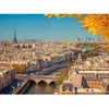Image de Puzzle 2000 pièces : Paris vu du ciel