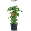 Image de Pot pour pied de tomates - IPOM - Tomato Grower - 28L - Cylindrique - Noir