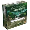 Image de Jeu de stratégie - Sleeping Gods - Primeval Peril - 1 à 2 joueurs - Aventure autonome en jungle